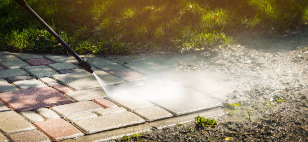 Best Soft Washing for Delicate Surfaces in Edgerton, OH
