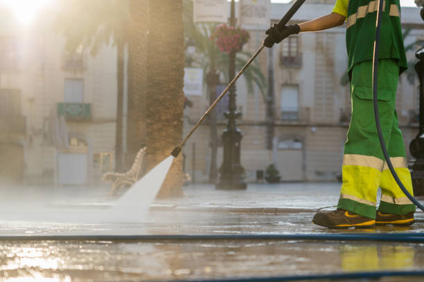 Best Roof Cleaning and Mildew Removal in Edgerton, OH